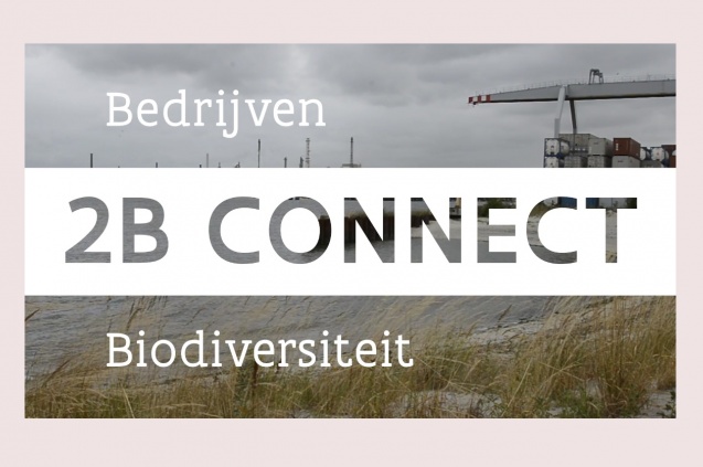 Masterclass biodiversiteit op bedrijfsterreinen - UITGESTELD