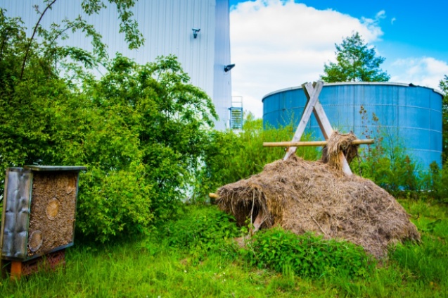 Bedrijfsbezoek biodiversiteit - miK